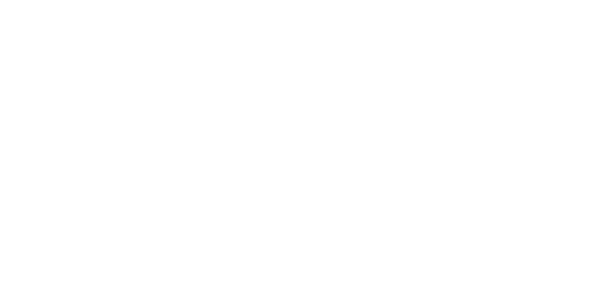 플레이텍 logo